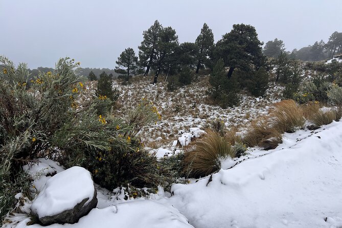 3 Hour Private Hike: Mountain Nevado Toluca from Mexico City - Who will enjoy this Nevado de Toluca day trip
