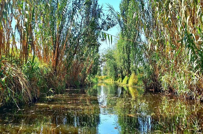3 Hours of Kayaking at the Ancient Canals of Xochimilco - Chinampas, birds, and the working waterway