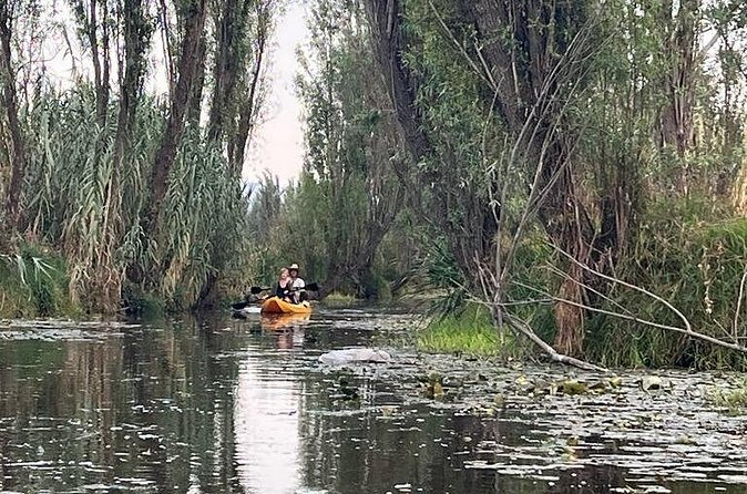 3 Hours of Kayaking at the Ancient Canals of Xochimilco - Why dawn matters at Xochimilco
