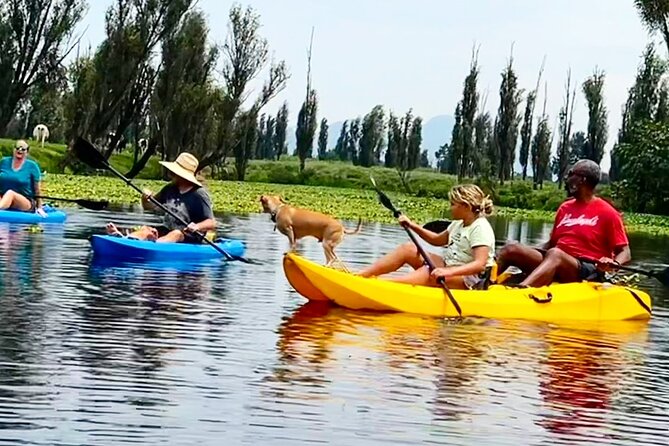 3 Hours of Kayaking at the Ancient Canals of Xochimilco - Grant’s guiding style and the small-group advantage