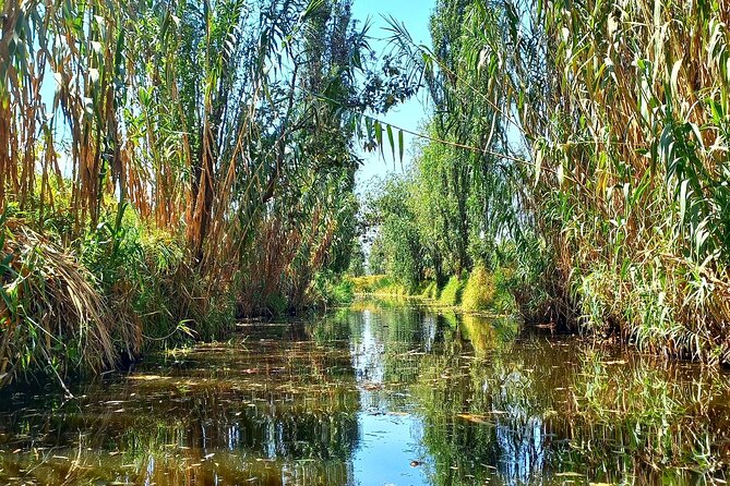 3 Hours of Kayaking at the Ancient Canals of Xochimilco - Is $71.65 a fair price?