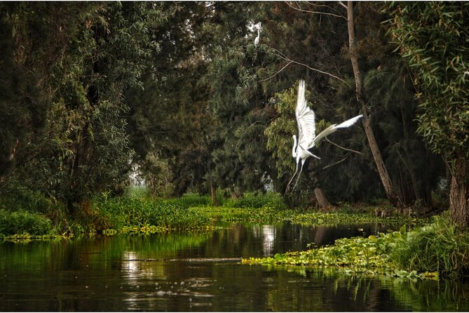 3 Hours of Kayaking at the Ancient Canals of Xochimilco - The first paddle into the quieter canals