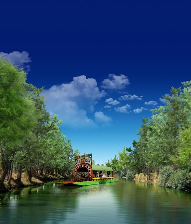 6-Night Best of Central Mexico Tour: Teotihuacan Pyramids, Taxco, Cuernavaca and Puebla from Mexico City - Day 4: Xochimilco boats and Coyoacan streets