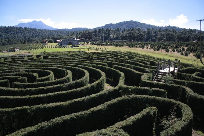 Admission to the Alpinia Nature and Adventure Park - Forest trails, the glen, and the tree nursery
