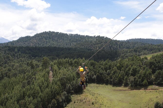 Admission to the Alpinia Nature and Adventure Park - Children’s farm, bridge, and playgrounds