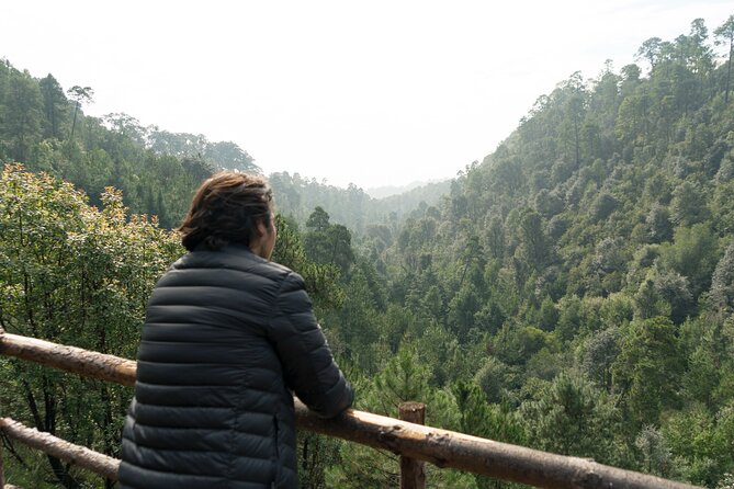 Admission to the Alpinia Nature and Adventure Park - The extra-cost zip line and canopy tour