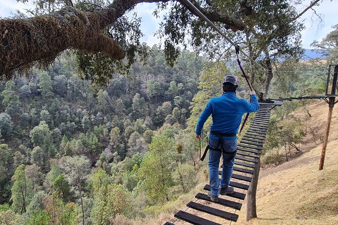 Admission to the Alpinia Nature and Adventure Park - Who will enjoy Alpinia most