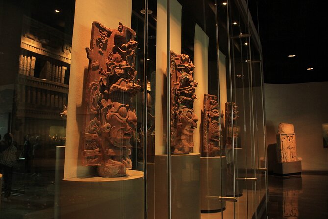 Anthropology Museum Early Access Tour - What the guided museum visit covers