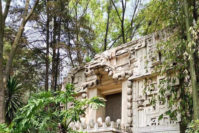 Anthropology Museum Early Access Tour - Guides who bring the objects to life