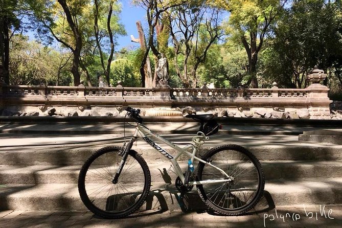 Bike Tour in Mexico City - A closer look at the two-hour rhythm