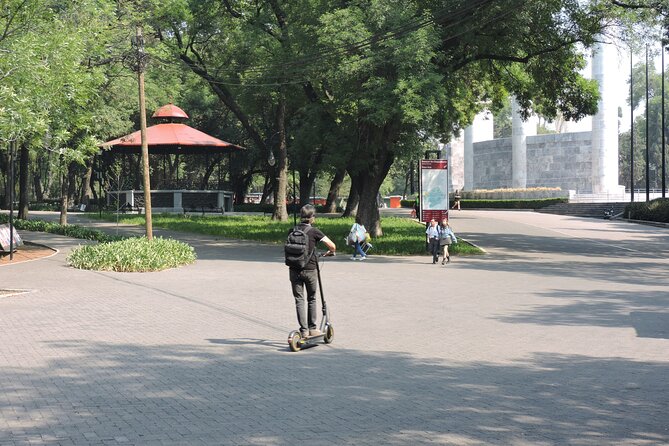 Bike tour in the Chapultepec Forest and Roma Condesa - Chapultepec Forest: trees, water, and cultural stops