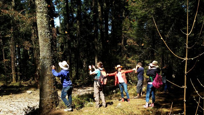 Butterfly Monarch Tour from Mexico City - Horseback riding for the uphill section