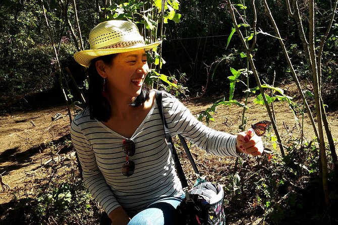 Butterfly Monarch Tour from Mexico City - Lunch with Michoacan flavors