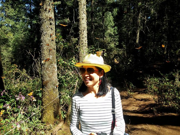 Butterfly Monarch Tour from Mexico City - Is $250 a fair price?