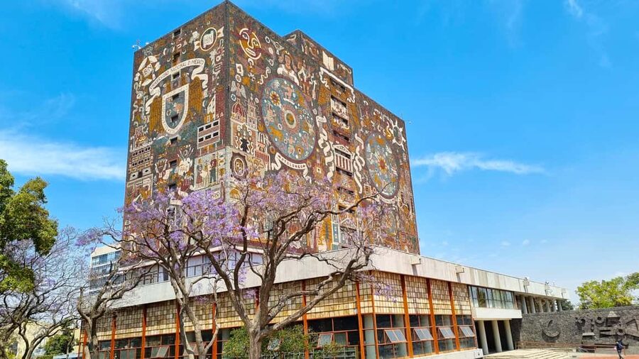 CDMX: Coyoacán, UNAM, Xochimilco, and optional Frida Kahlo Museum - Xochimilco by colorful trajinera