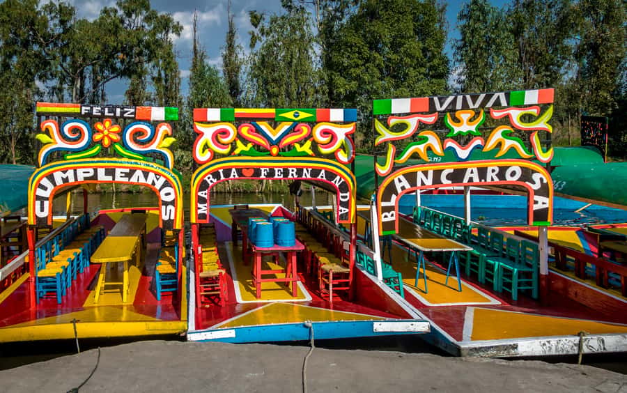 CDMX: Tour of Xochimilco and Coyoacán with option to visit the Frida Kahlo Museum - Why this southbound Mexico City day works