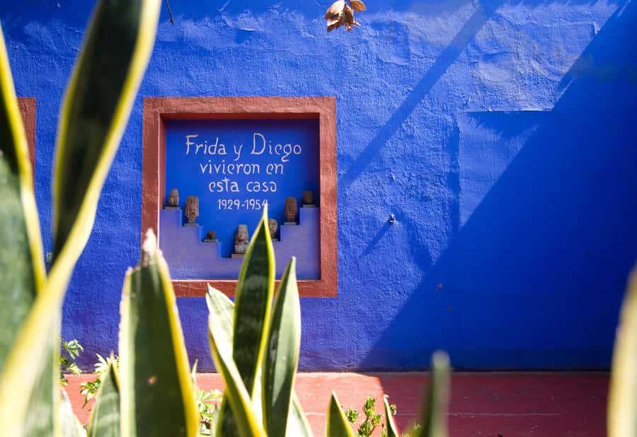 CDMX: Tour of Xochimilco and Coyoacán with option to visit the Frida Kahlo Museum - What the $95 price gets you