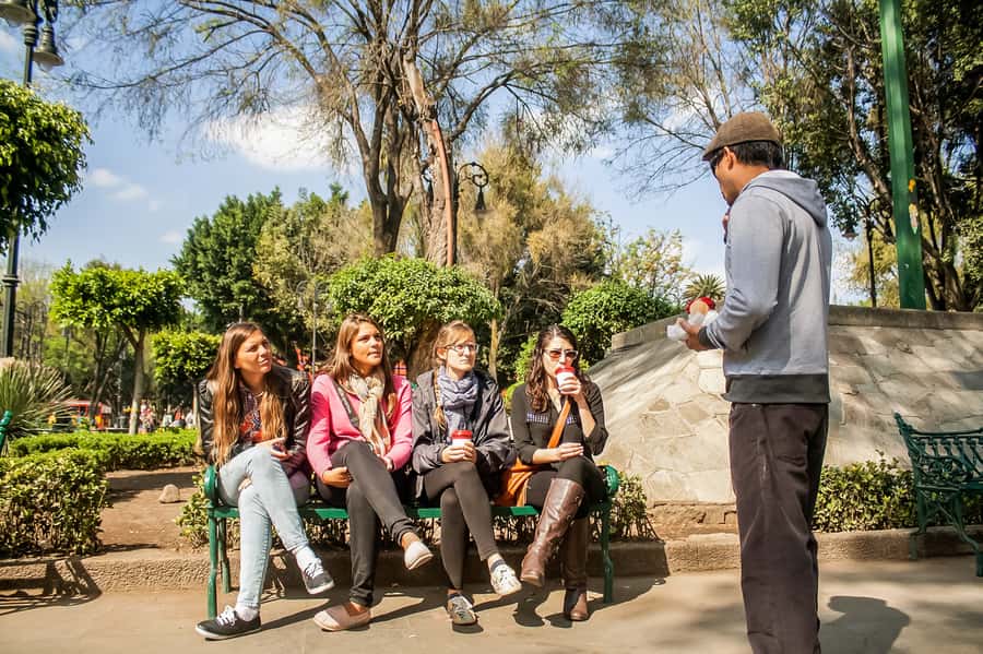 CDMX: Xochimilco, Coyoacan, Frida Kahlo Museum & Murals Tour - UNAM’s murals and volcanic stadium