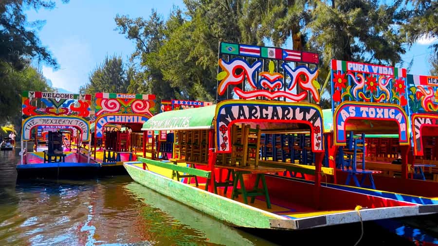 CDMX: Xochimilco Trajinera Party, Drinks, Mariachi & Tacos - Mariachi first, then a louder party playlist