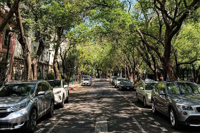 Epic Condesa and Roma Norte Walking Tour - Is $59 a fair price?