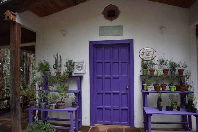 Ex hacienda, rancho de lavanda y Val'Quirico (private tour) - Rancho San Martín Lavanda: a fragrant stop with something to do