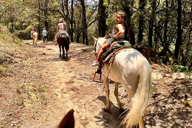 Exclusive Horseback Ride w/ Mexican Charros Family in México City - Tacos and a family meal after the ride