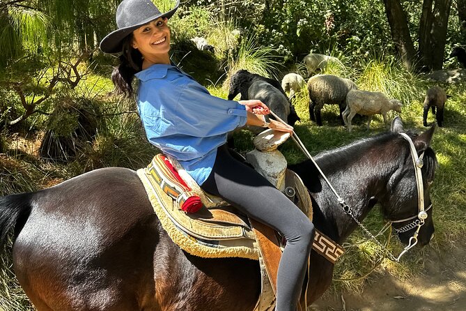 Exclusive Horseback Ride w/ Mexican Charros Family in México City - What the private format is worth