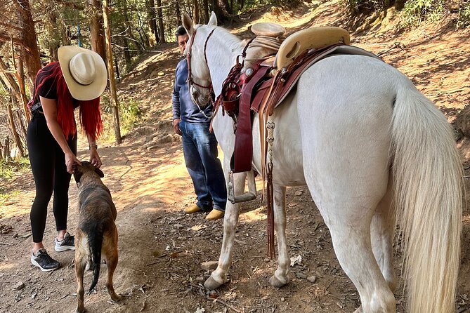 Exclusive Horseback Ride w/ Mexican Charros Family in México City - Who should book this ride