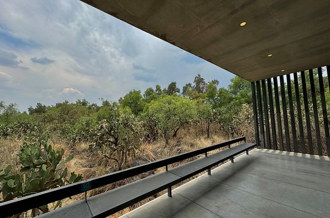 EXCLUSIVE TOUR at Diego Rivera Anahuacalli Museum - Small Groups - What you should not expect