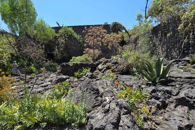 EXCLUSIVE TOUR Luis Barragán Casa Pedregal - small groups - One house, not four