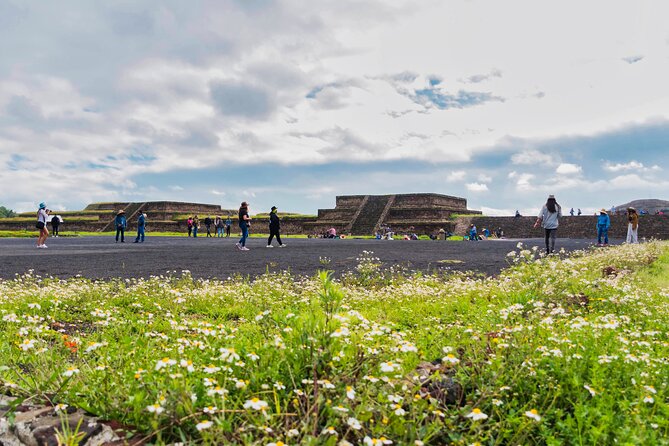 EXCLUSIVE TOUR Teotihuacán - Small Groups - Is $107.47 a fair price?