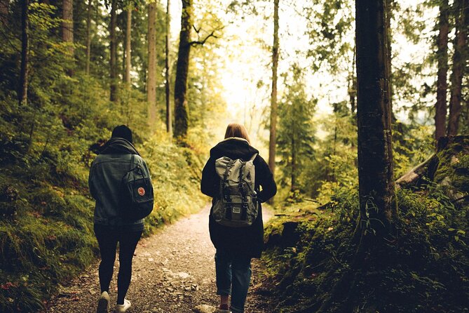 Firefly Sanctuary Tour in Puebla - Is the $156 price good value?