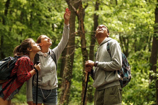 Firefly Sanctuary Tour in Puebla - How to decide if you should book