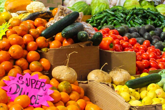 Flavors of Mexico City: A Tasty Urban Expedition - The guides make the private format worthwhile
