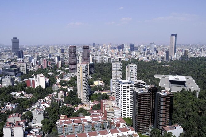 Foodie Tour in Polanco: Mexico Culinary roots! - Key things to know before booking