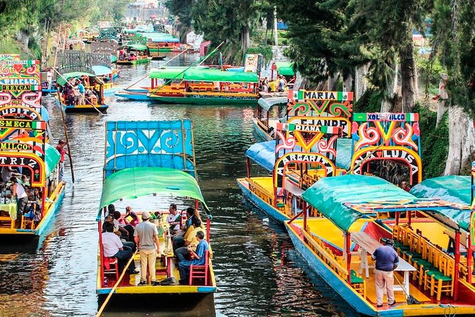 Frida Kahlo's House, Coyoacan and Xochimilco - All Day Tour - Two very different Mexico City highlights