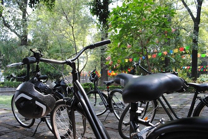 Frida Kahlo VIP - Bike & Churros [Museum Tickets Included] - Who will enjoy this most