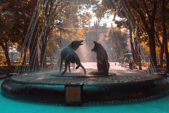 From cdmx: Tour in Coyoacan and Xochimilco all inclusive - Ciudad Universitaria and Mexico’s Painted Campus