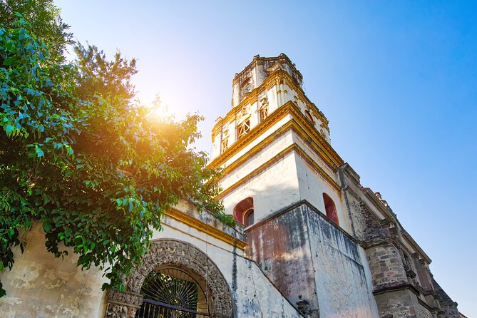 From cdmx: Tour in Coyoacan and Xochimilco all inclusive - Xochimilco by Traditional Trajinera