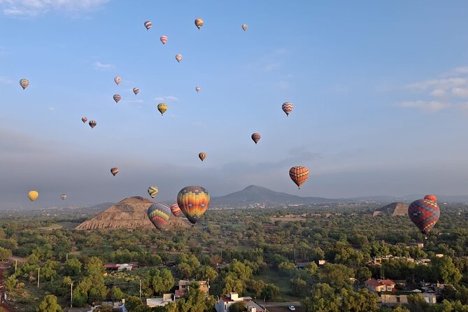 Full-Day Private Tour of Mexico City: Teotihuacan and Xochimilco - Four galleries at the National Anthropology Museum