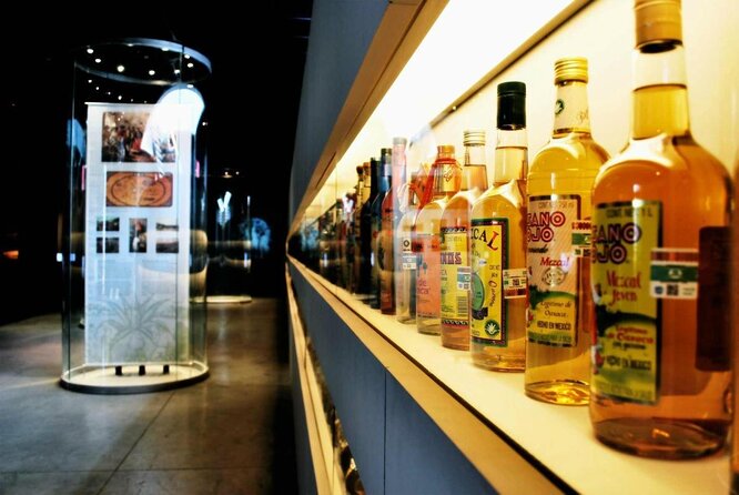 Guided Tour to the Tequila and Mezcal Museum - Key points to know before booking
