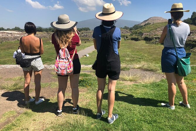 Half Day Tour of Teotihuacan - Pickup from Condesa, Roma, Polanco, and nearby areas