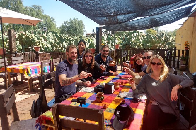 Half-Day Tour to Teotihuacan Pyramids from Mexico City - What the guides add to the experience
