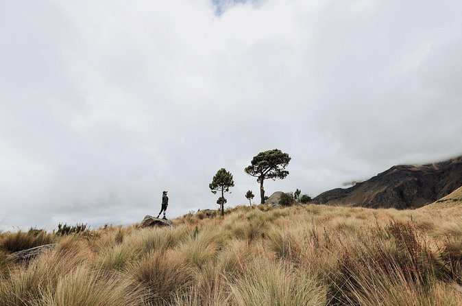 Hiking Tour on the Iztaccíhuatl Volcano from Puebla - Equipment, insurance, and safety support