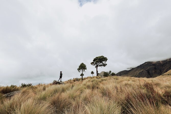 Hiking Tour on the Iztaccíhuatl Volcano from Puebla - The value of a $126 private tour