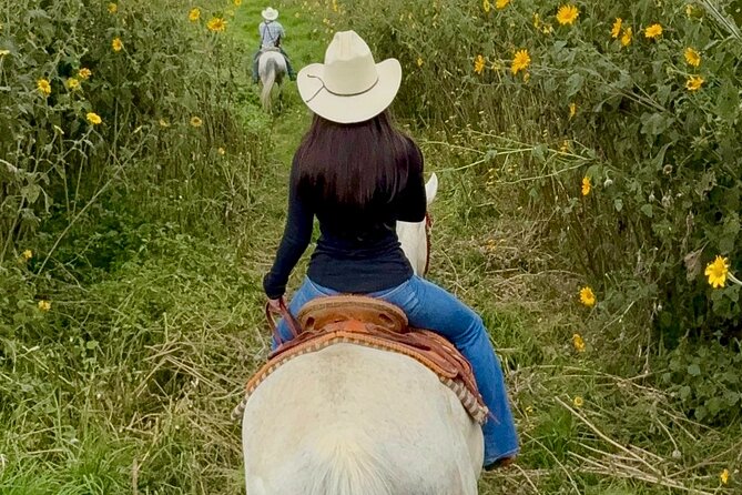 Horseback, Culture & Mexican Flavors Experience - Key points at a glance