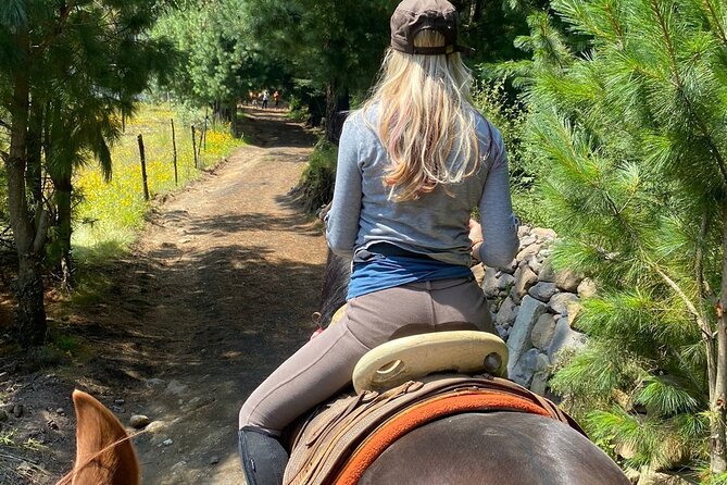 Horseback, Culture & Mexican Flavors Experience - Leaving Mexico City for Tepetlaoxtoc
