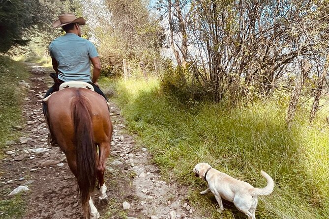 Horseback, Culture & Mexican Flavors Experience - Who will enjoy this ride most