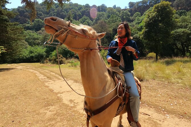 Horseback Riding in the Forest and Breakfast in Cabin - From Fuente de Cibeles to the Los Dinamos forest