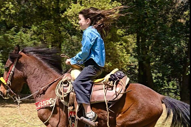 Horseback Riding in the Forest and Breakfast in Cabin - Lunch in a cabin, with Mexican comfort food
